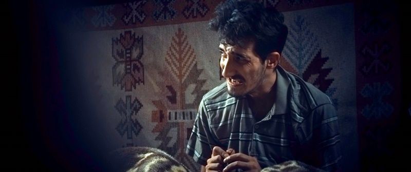 Zuzula : Fotoğraf