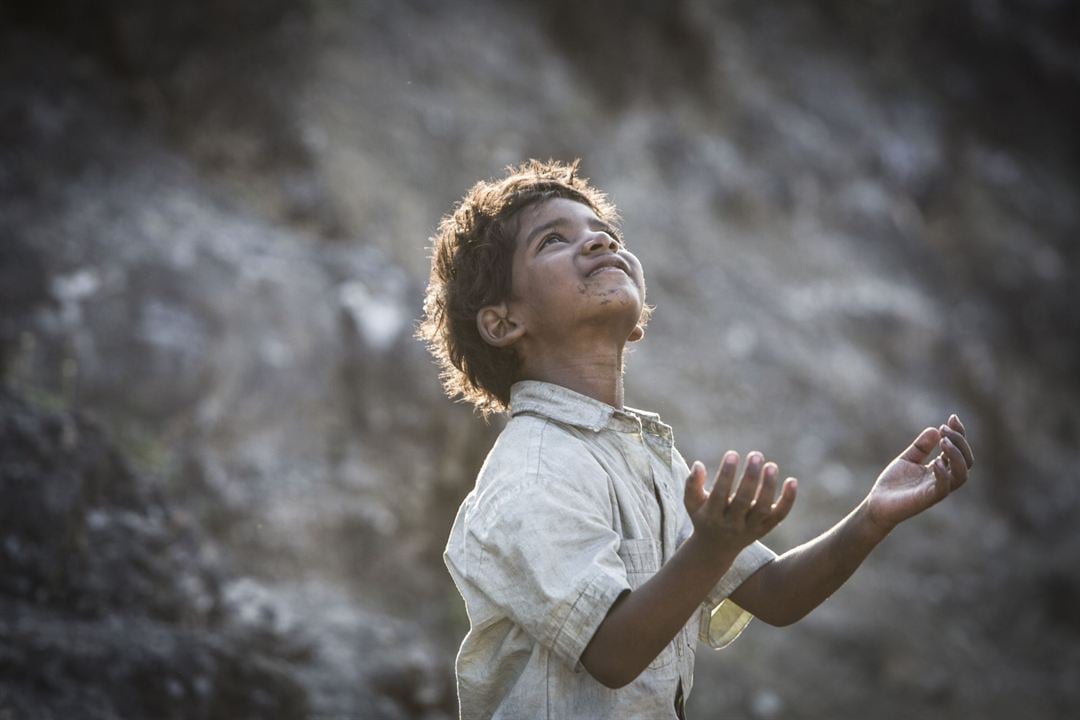 Lion : Fotoğraf Sunny Pawar