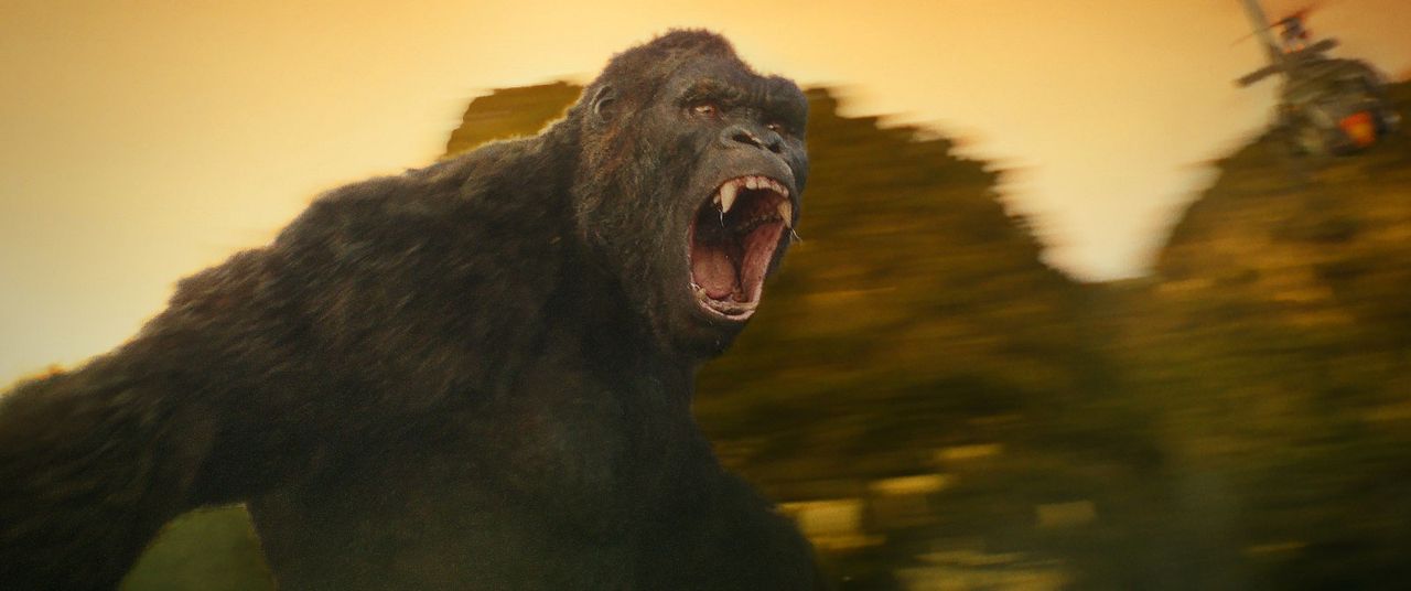Kong: Kafatası Adası : Fotoğraf