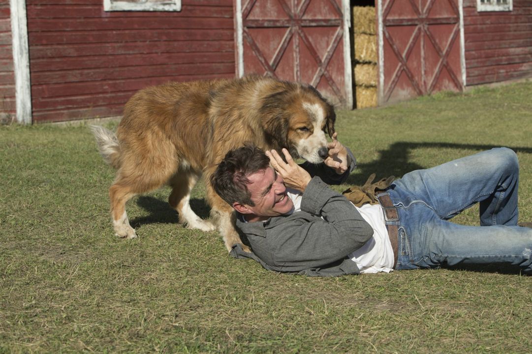 Can Dostum : Fotoğraf Dennis Quaid