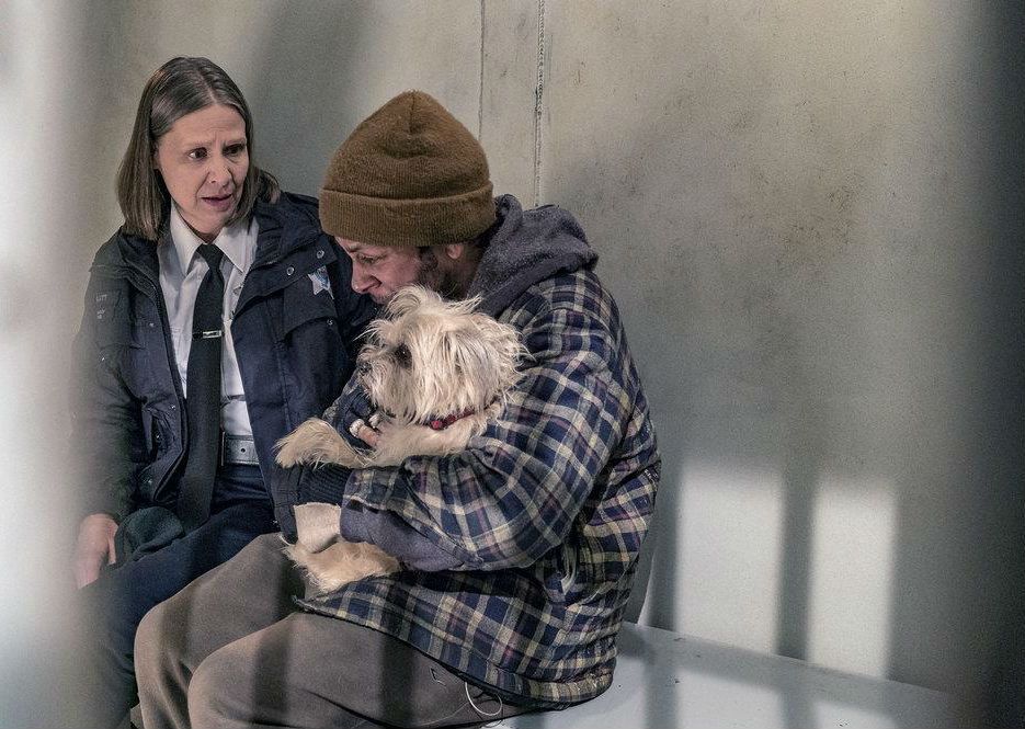 Fotoğraf Amy Morton