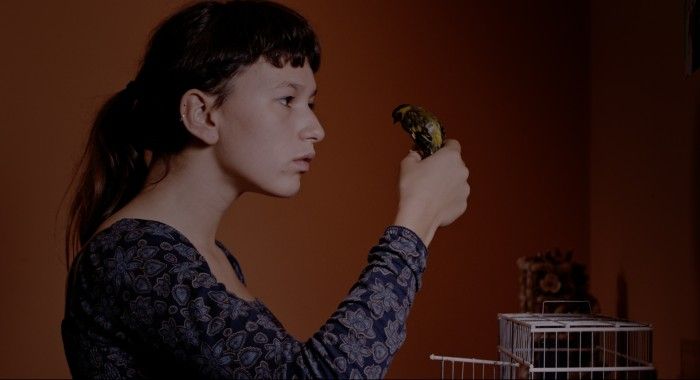 Colo : Fotoğraf Alice Albergaria Borges