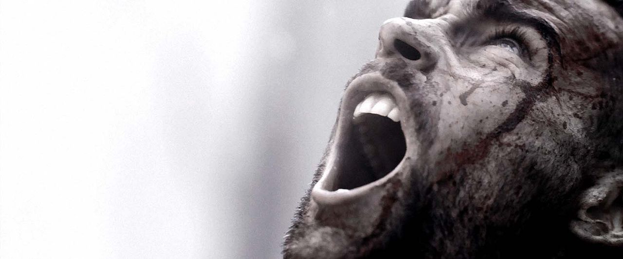 Fotoğraf Stanley Weber