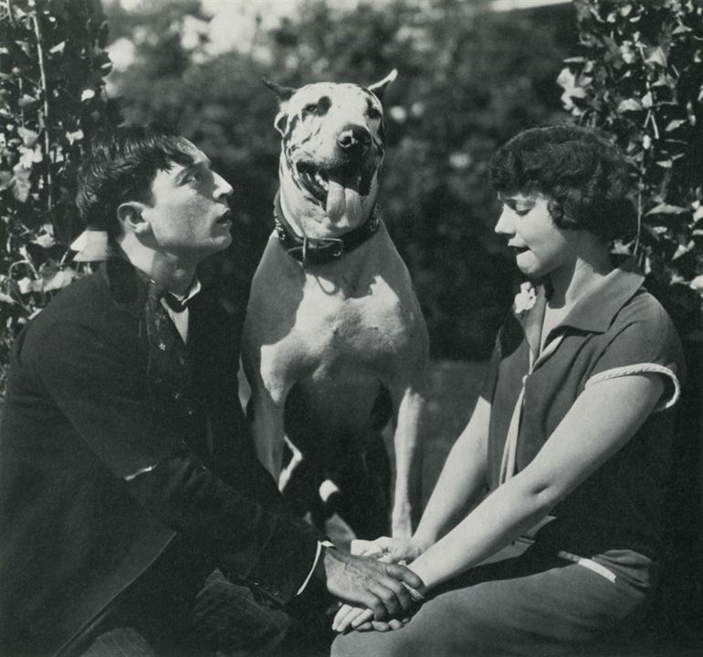 Seven Chances : Fotoğraf Buster Keaton