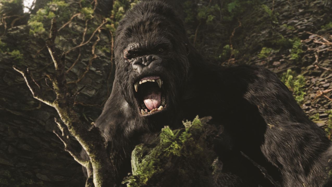King Kong : Fotoğraf
