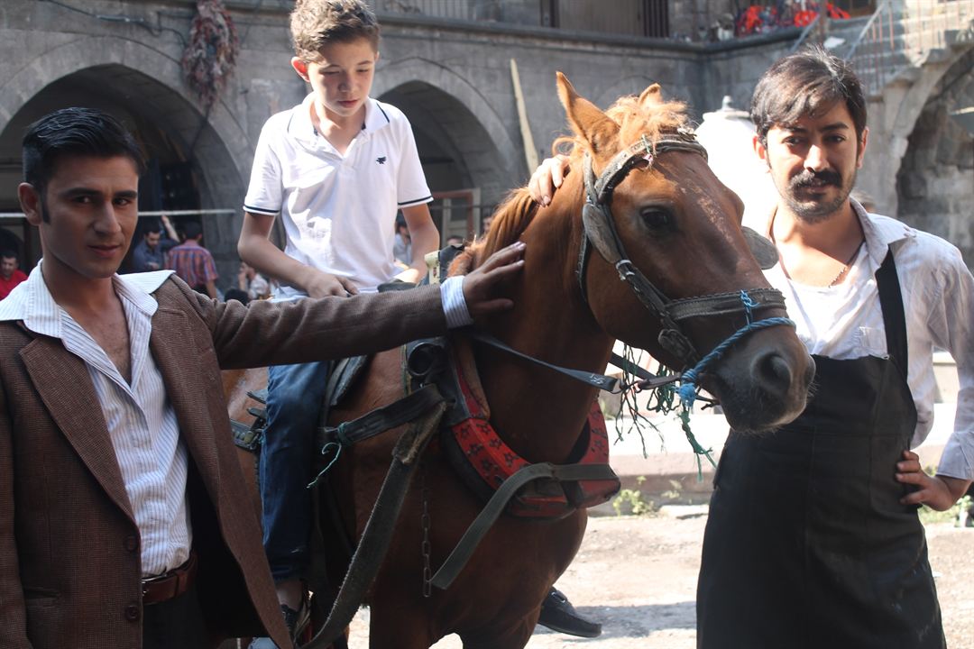 Mezeci Çırağı : Fotoğraf