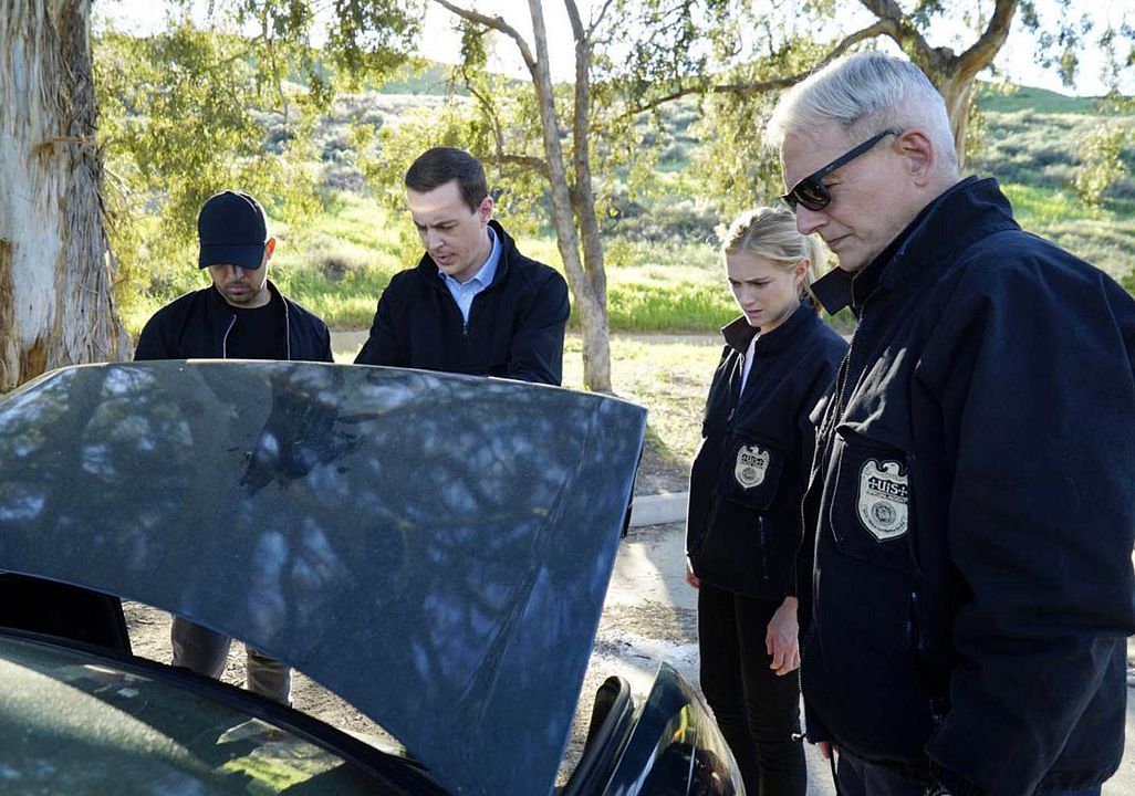 Fotoğraf Mark Harmon, Sean Murray, Emily Wickersham