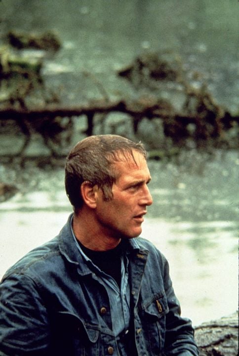 Fotoğraf Paul Newman