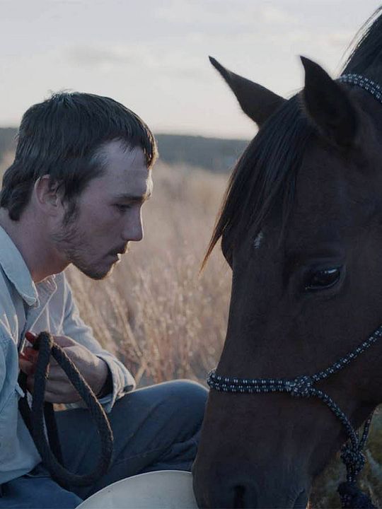 The Rider : Afiş