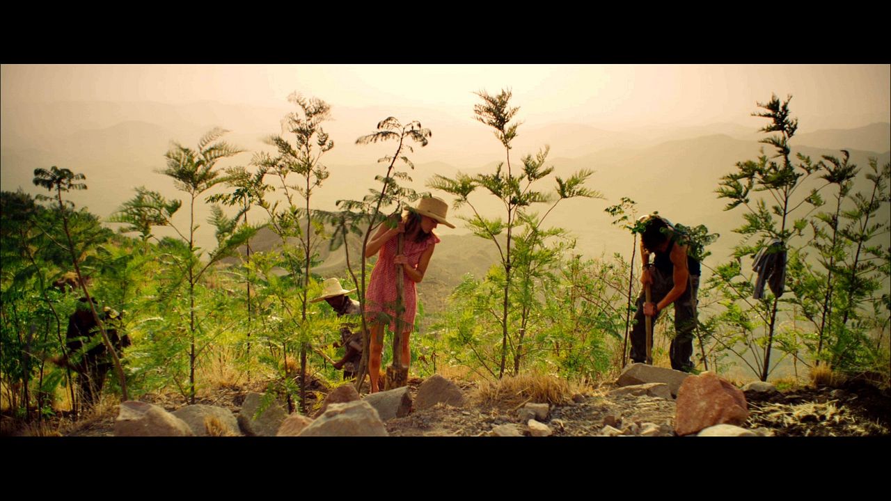 Hayallerinin Peşinde : Fotoğraf