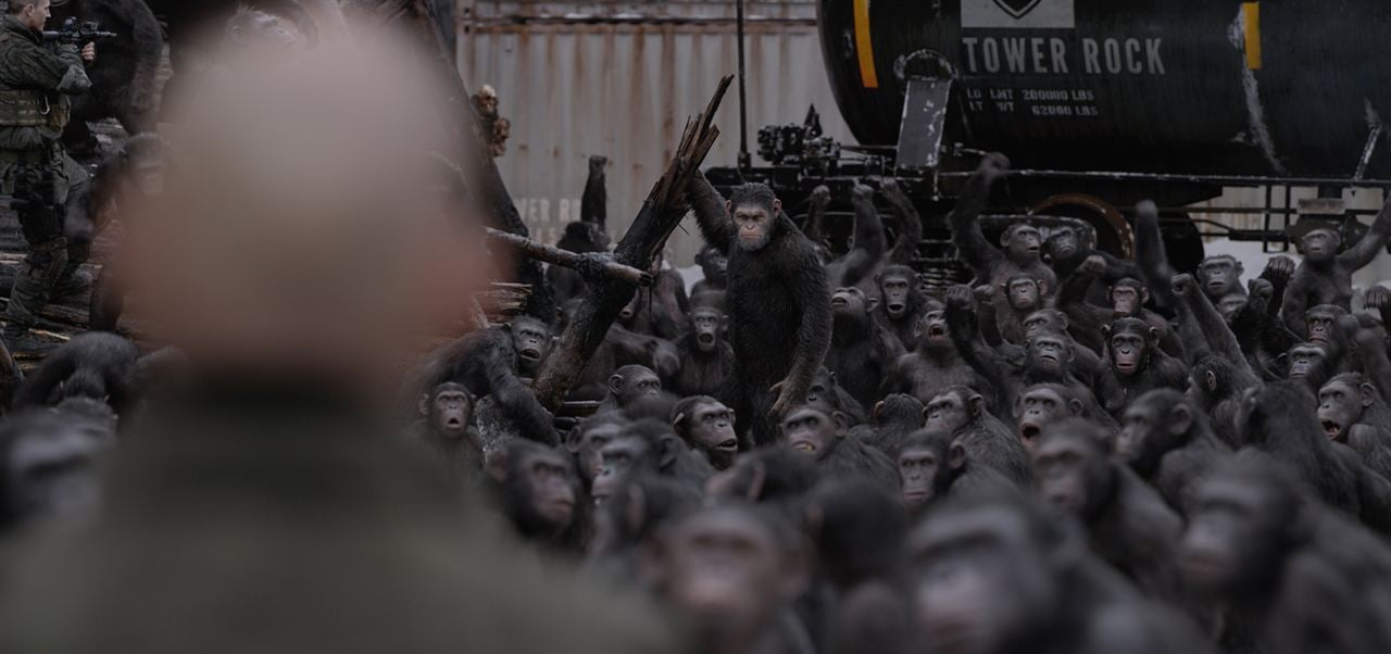 Maymunlar Cehennemi: Savaş : Fotoğraf