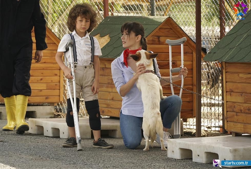 Dolunay : Fotoğraf