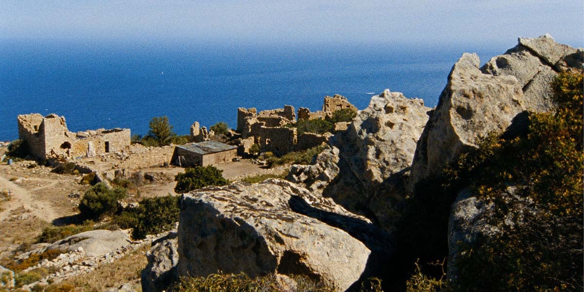 Bırakın Bronzlaşsın Cesetler : Fotoğraf