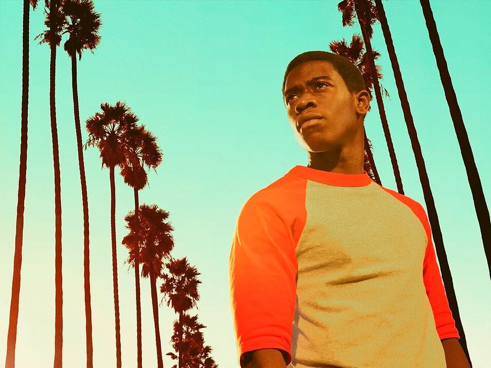 Snowfall : Fotoğraf