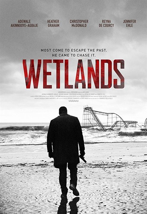 Wetlands : Afiş