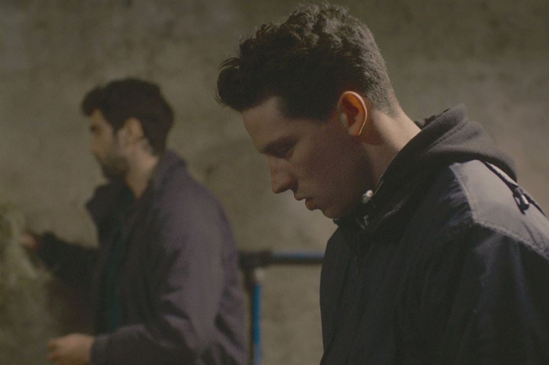 God's Own Country : Fotoğraf Alec Secareanu, Josh O'Connor