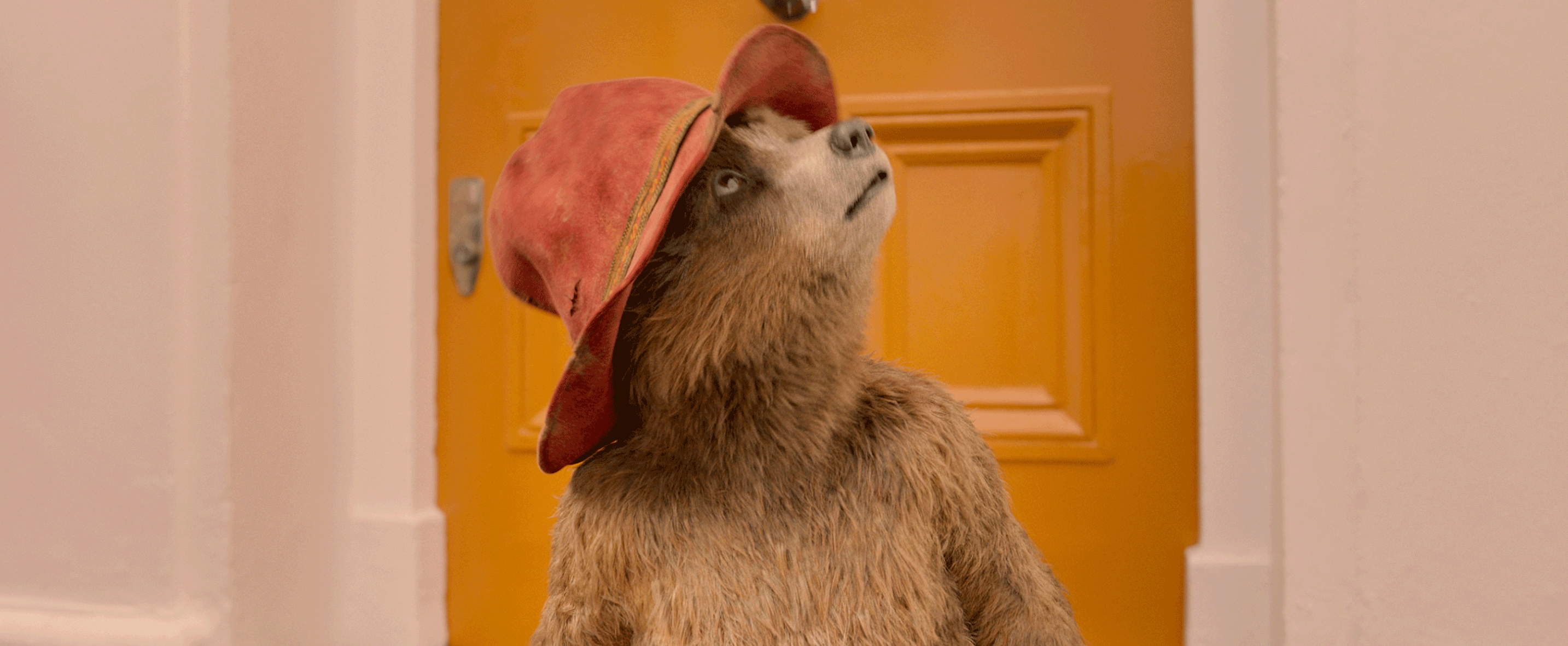 Ayı Paddington 2 : Fotoğraf