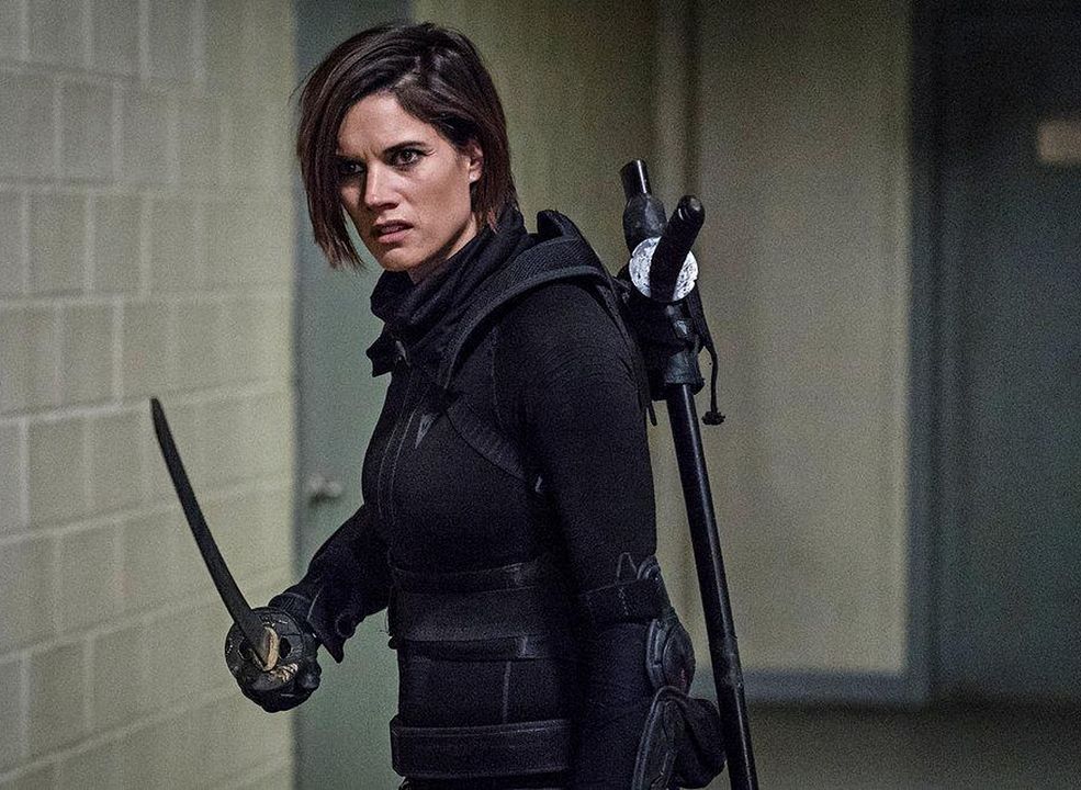 Van Helsing : Fotoğraf Missy Peregrym