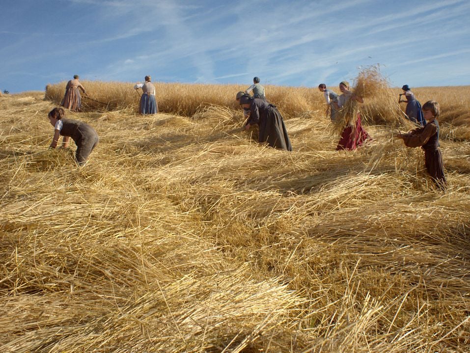 Le Semeur : Fotoğraf