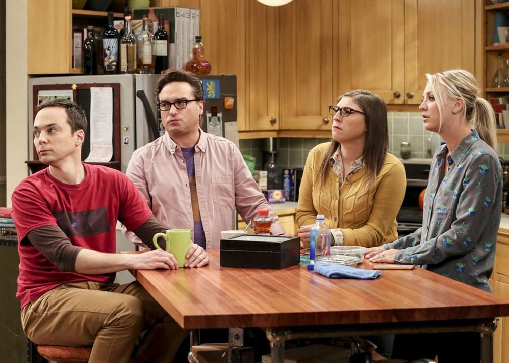 The Big Bang Theory : Fotoğraf Johnny Galecki, Kaley Cuoco, Mayim Bialik, Jim Parsons