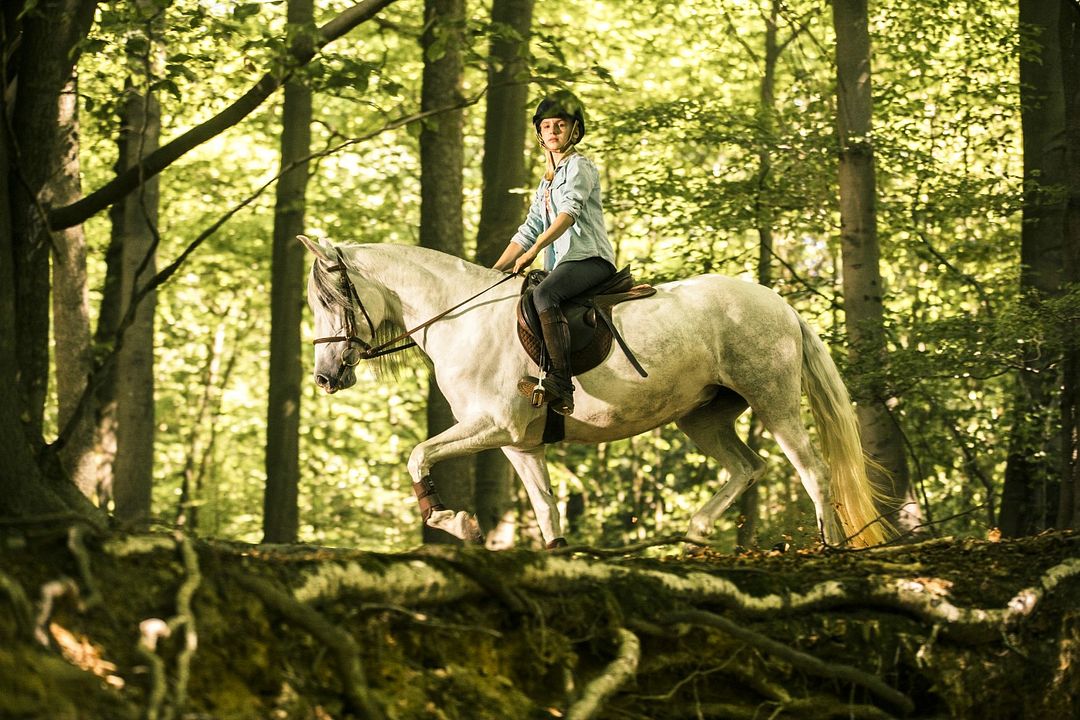 Fotoğraf Jule Hermann