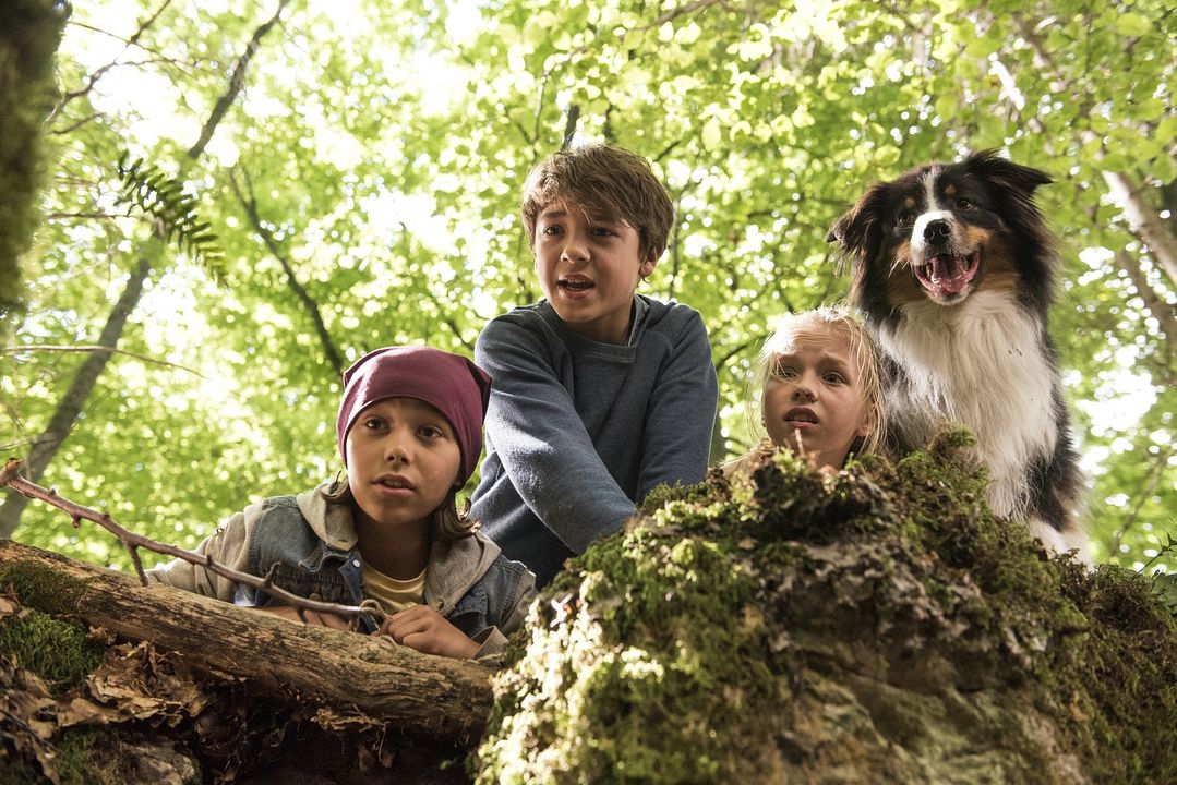 Fotoğraf Marinus Hohmann