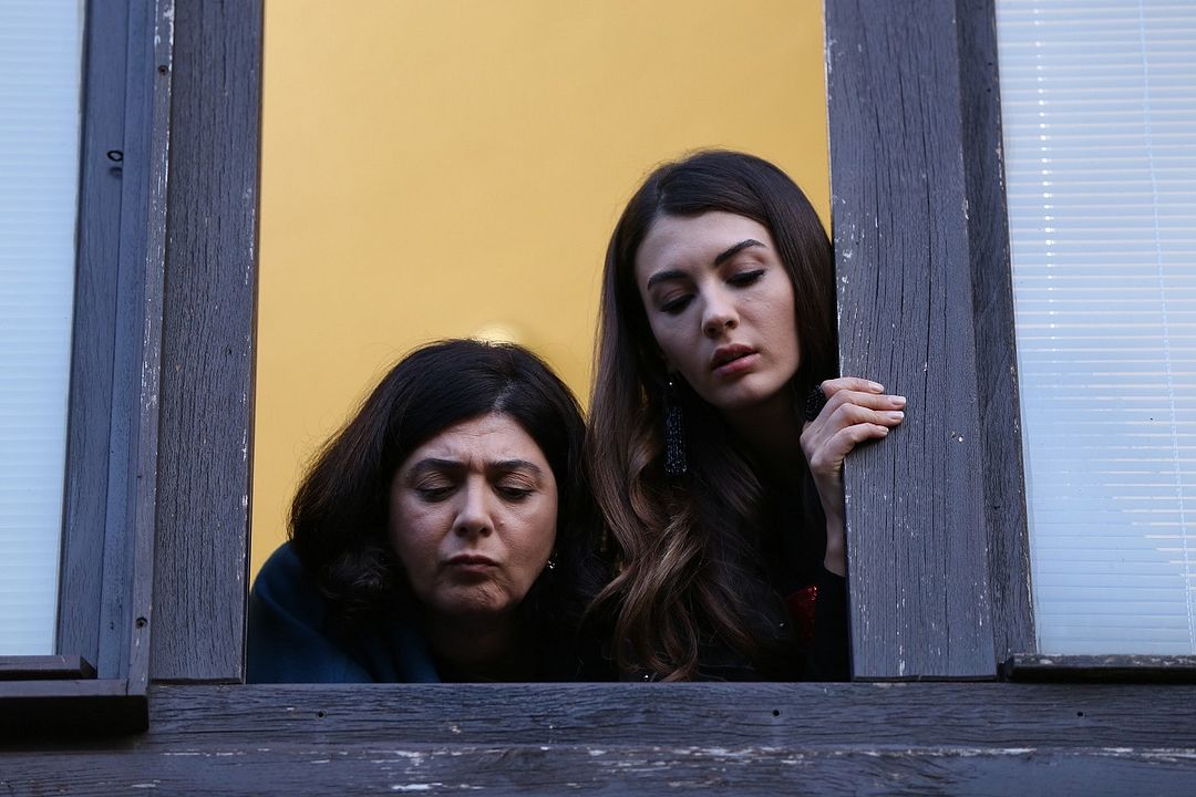 Чолаев 1имран. Дзукаев. Аслан 8. Рудик киут. Керашев анзаур асланбекович.