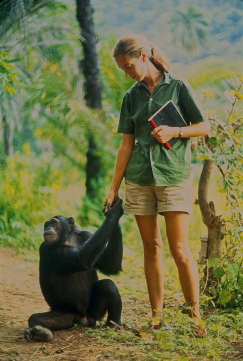 Jane : Fotoğraf Jane Goodall