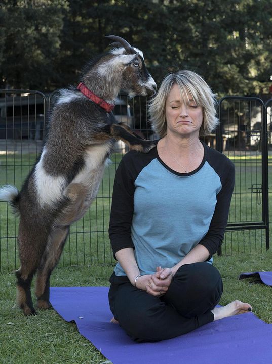 Fotoğraf Teri Polo