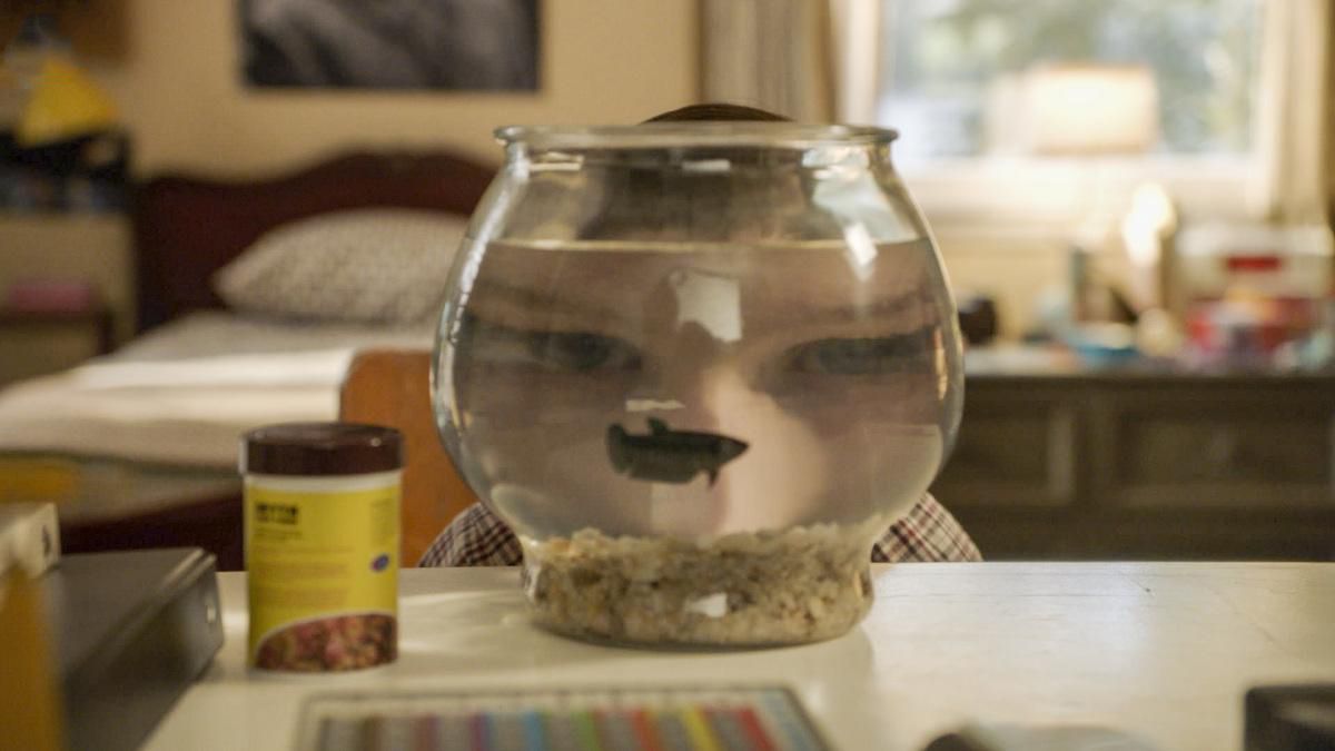 Young Sheldon : Fotoğraf Iain Armitage