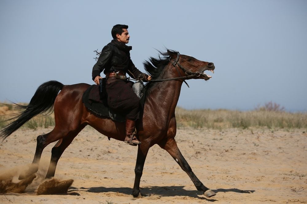Mehmetçik Kut'ül Amare : Fotoğraf