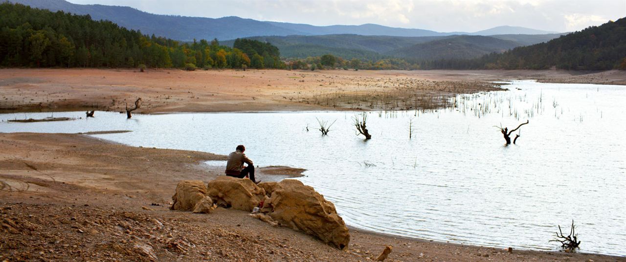 Ahlat Ağacı : Fotoğraf