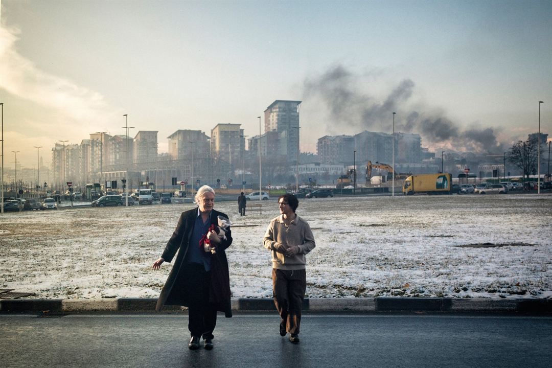 Mutlu Lazzaro : Fotoğraf Tommaso Ragno, Adriano Tardiolo