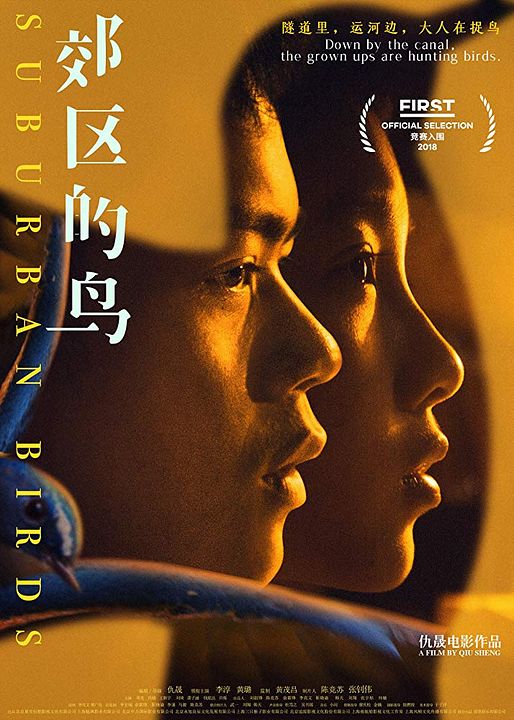 Jiao qu de niao : Afiş
