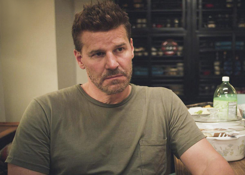 Fotoğraf David Boreanaz