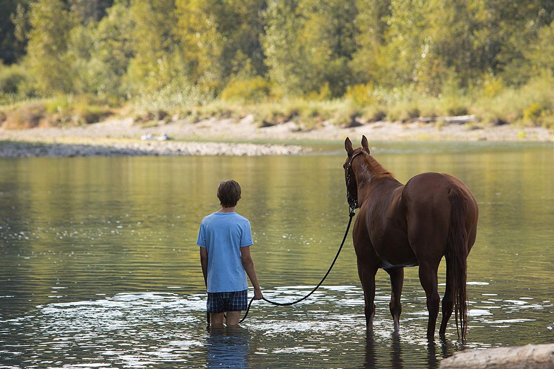 Lean On Pete : Fotoğraf