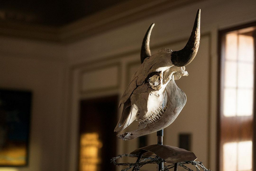 I Am The Night : Fotoğraf