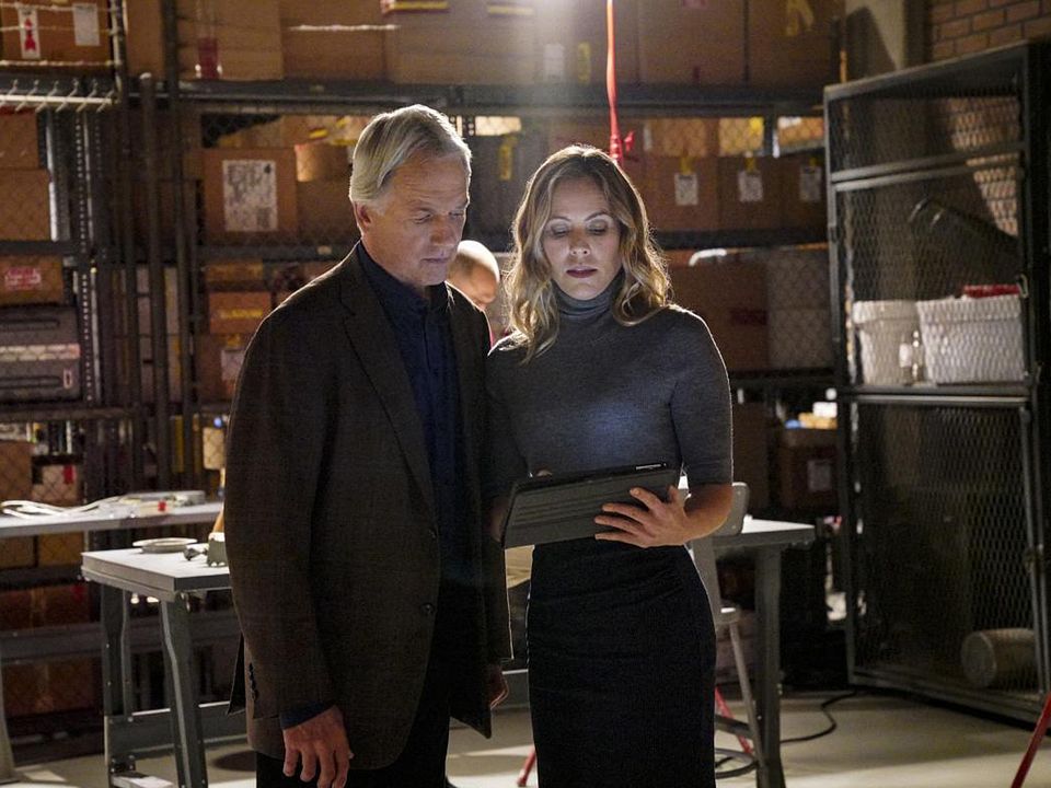 Fotoğraf Mark Harmon, Maria Bello