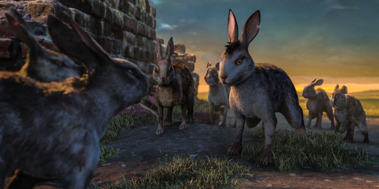 Watership Down : Fotoğraf