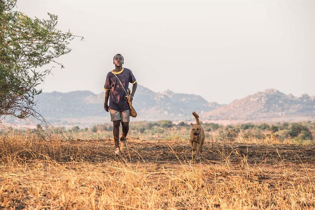 The Boy Who Harnessed the Wind : Fotoğraf Maxwell Simba