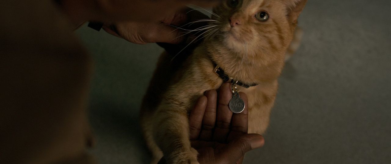 Captain Marvel : Fotoğraf