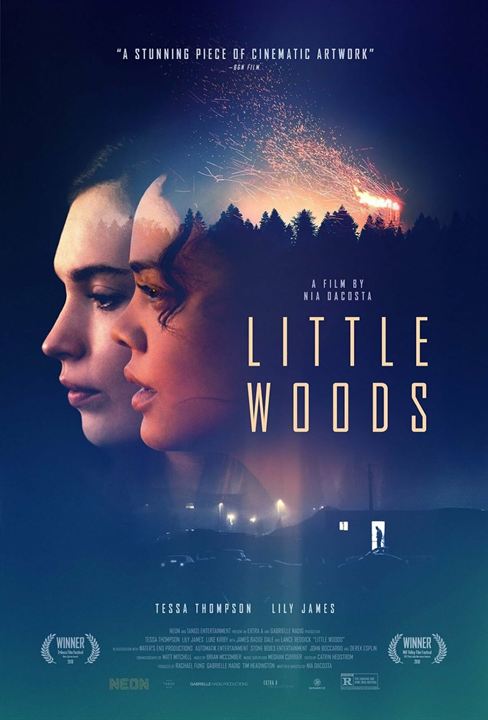 Little Woods : Afiş
