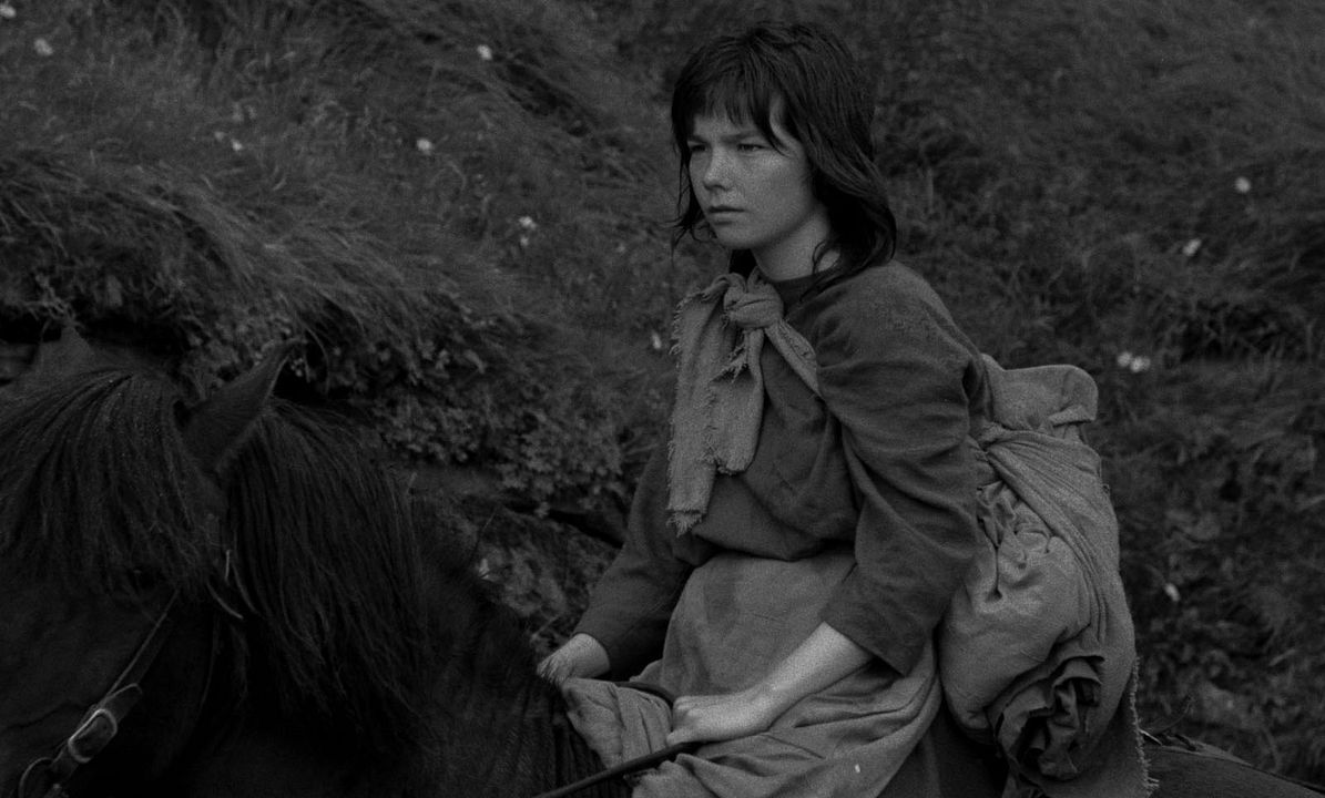 Einitréð : Fotoğraf