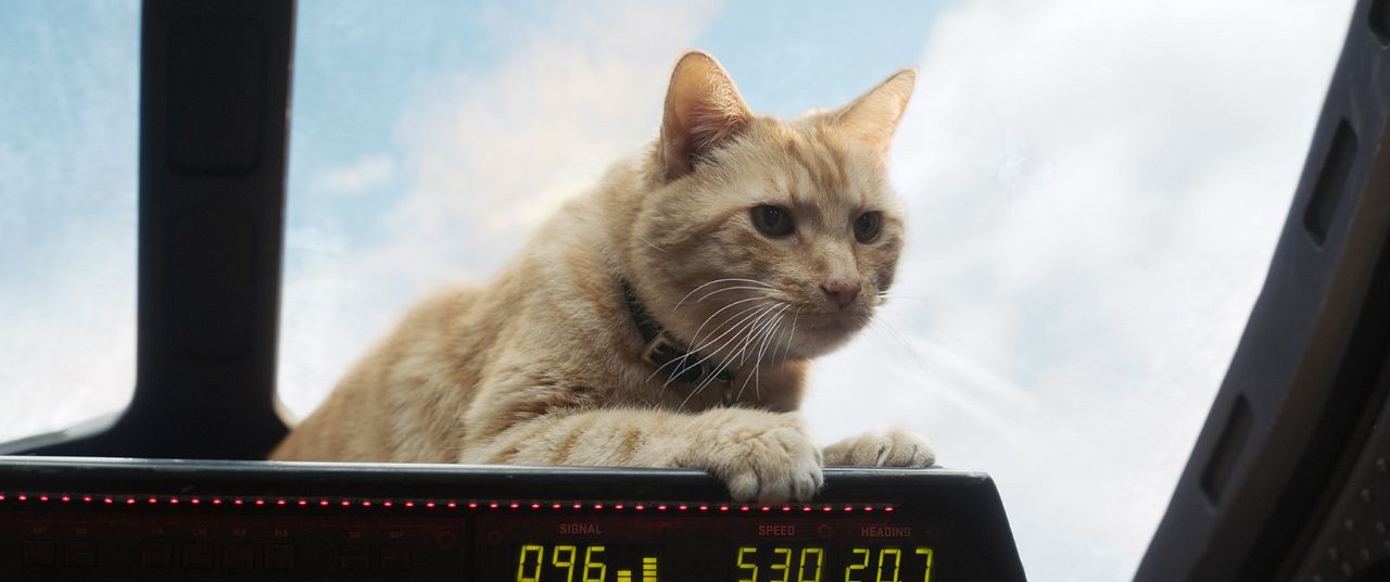 Captain Marvel : Fotoğraf