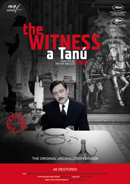 A Tanú (The Witness) : Afiş