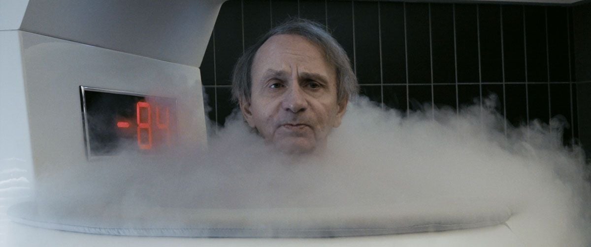 Fotoğraf Michel Houellebecq