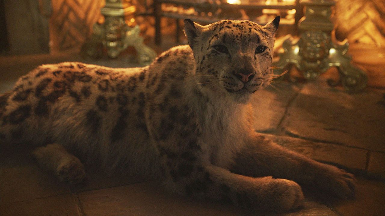 His Dark Materials : Fotoğraf