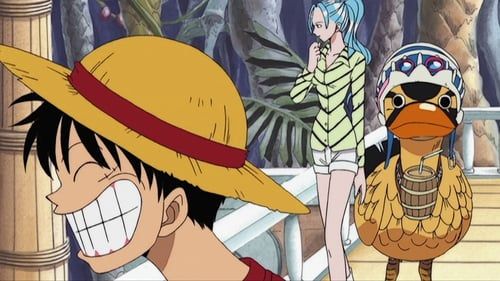 One Piece : Fotoğraf