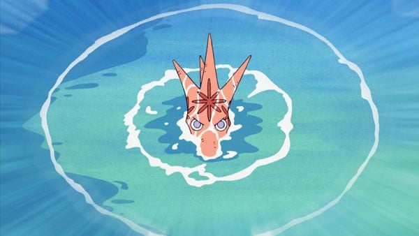 One Piece : Fotoğraf