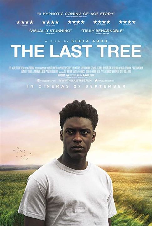 The Last Tree : Afiş